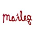 Logo de MAILEG